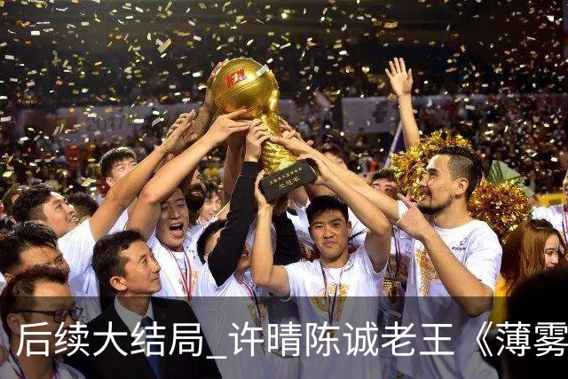 后续大结局 许晴陈诚老王《薄雾锁清秋》《四个工友》